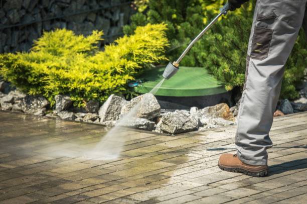Best Pre-Holiday Cleaning  in Mikes, TX